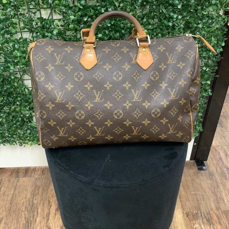Louis Vuitton Large Handbags